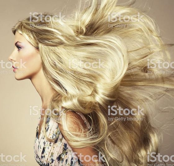 categories_0000_istockphoto-177496971-2048x2048